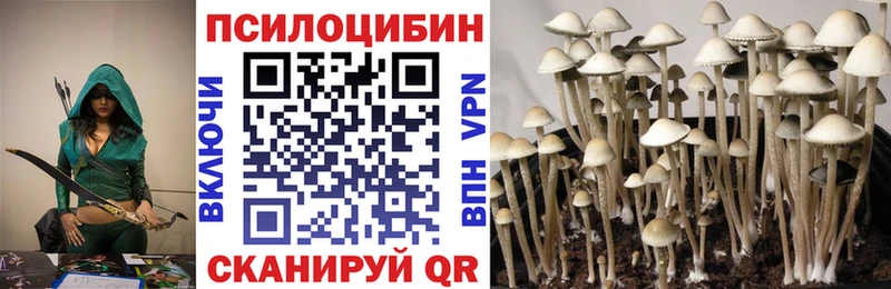 купить наркотик Свирск Галлюциногенные грибы Magic Shrooms